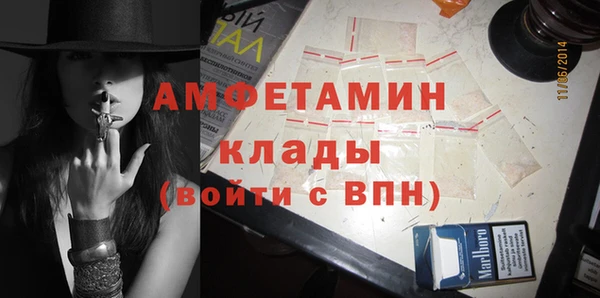 амф Козловка
