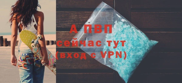 стафф Кодинск