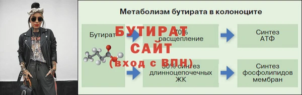 стафф Кодинск