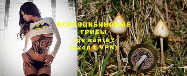 амф Козловка
