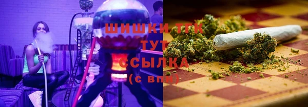 стафф Кодинск