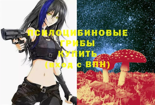 стафф Кодинск