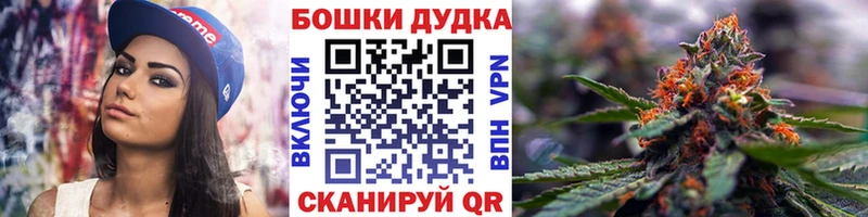 Купить где  Козельск  Бошки марихуана SATIVA & INDICA 